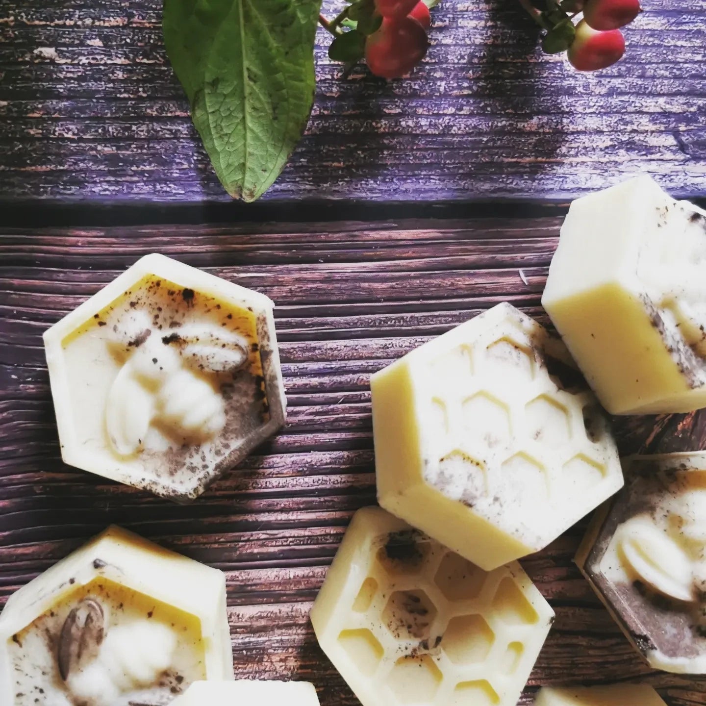 Bon Bon, Solid Body Lotions