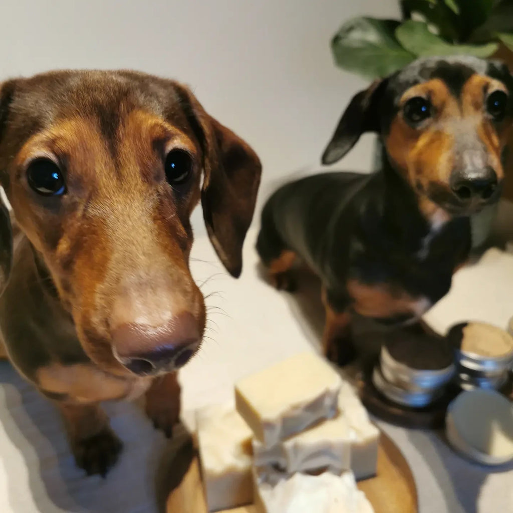 Paw Paws, Natural Dog Soap